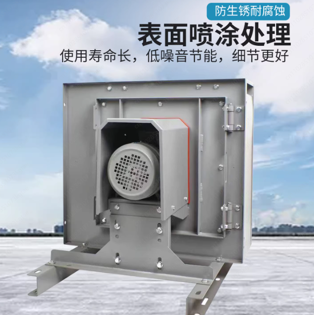 Ventilatore Centrifugo Silenzi - Commercial Kitchen Hood Cleaning recensione e prezzo
